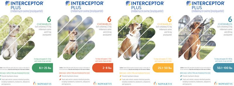 Interceptor Plus for Dogs: Uses, Dosage, Side Effects, and Safety