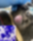 Lumps on Dogs