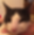 Katze von Biene gestochen