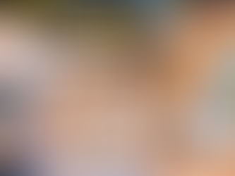 fun facts about cats