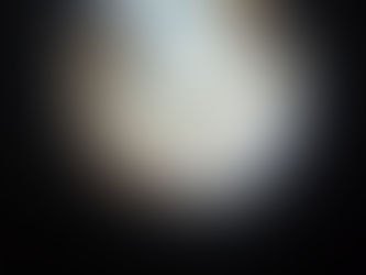 ушные клещи у кошек