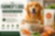 Vet Review: Is The Farmer’s Dog Actually Healthy?