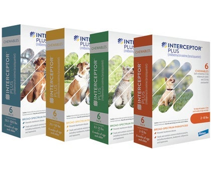 Interceptor Plus für Hunde