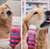 Benadryl for Dogs