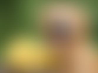 dürfen hunde bananen essen