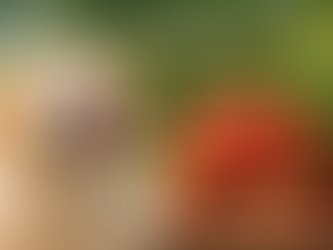 क्या कुत्ते स्ट्रॉबेरी खा सकते हैं