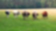 20210715_161411_edited.jpg