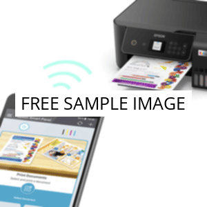 No image placeholder.webp