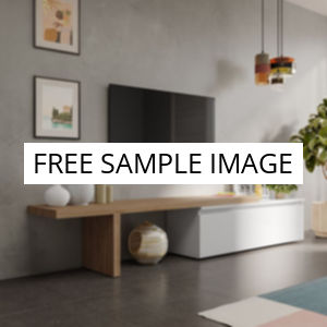 No image placeholder.webp