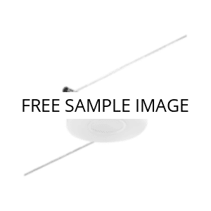 No image placeholder.webp