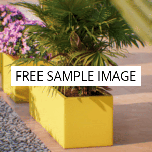 No image placeholder.webp