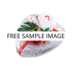 No image placeholder.webp