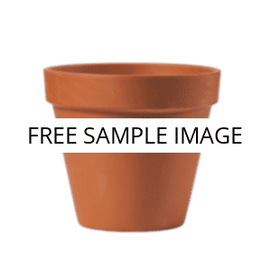 No image placeholder.webp