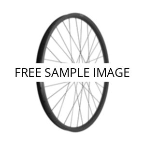 No image placeholder.webp