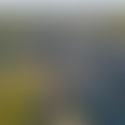 Change the Game, Not the Rules: How People Can Improve the Productivity of the Development Process