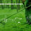 Thumbnail: STIHL Trimmer for PWABC