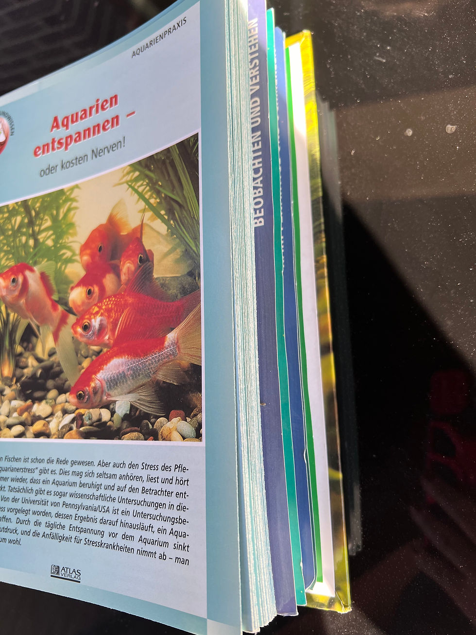 Thumbnail: Aquarium Sammel Anleitung Atlas