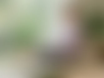 เบาะนั่งสบาย