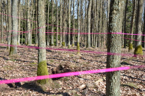 Contemporary art event in Rø Plantage by Who Cares Anne Mølleskov