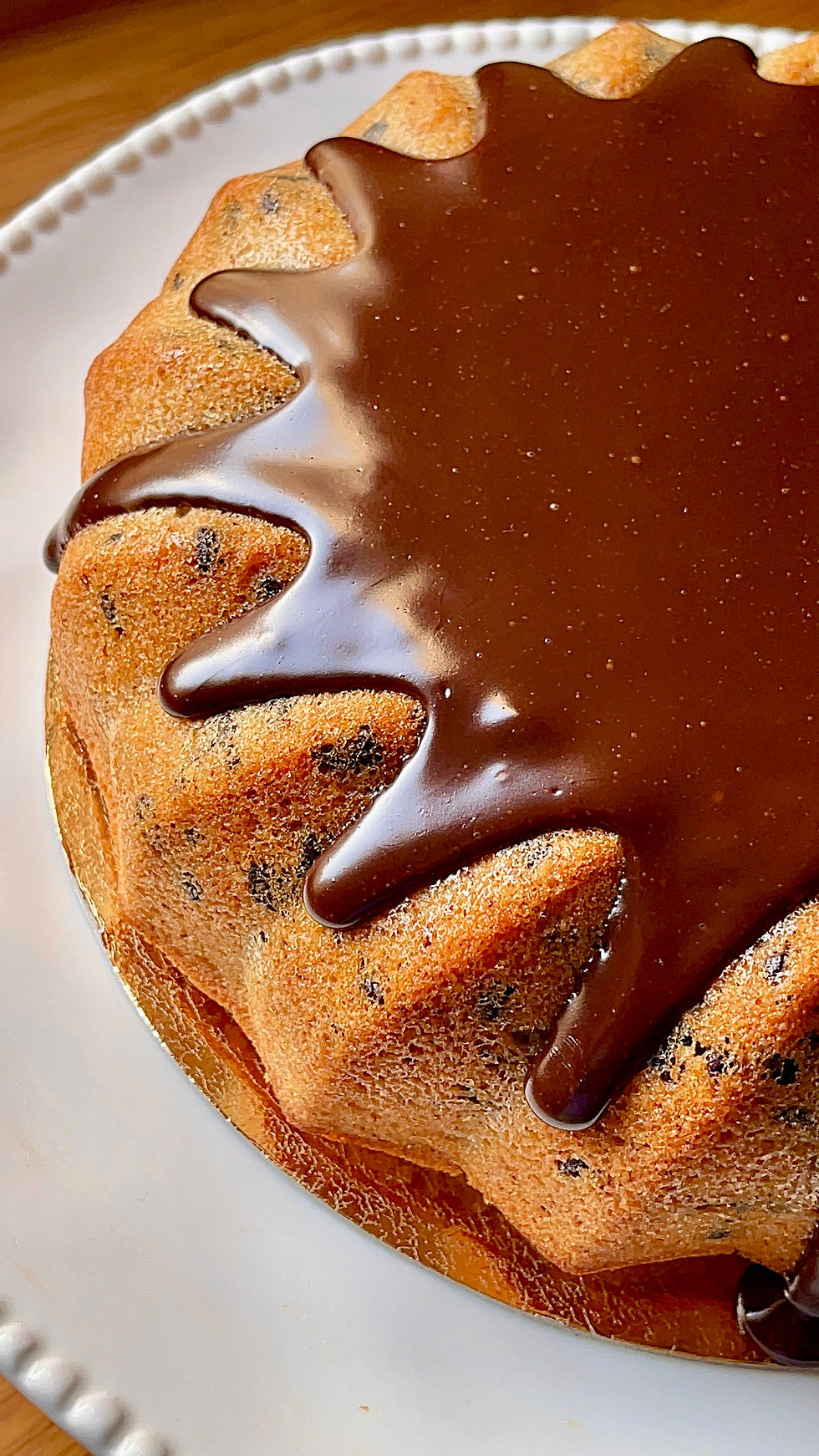 Tigré Géant au Chocolat en 2025