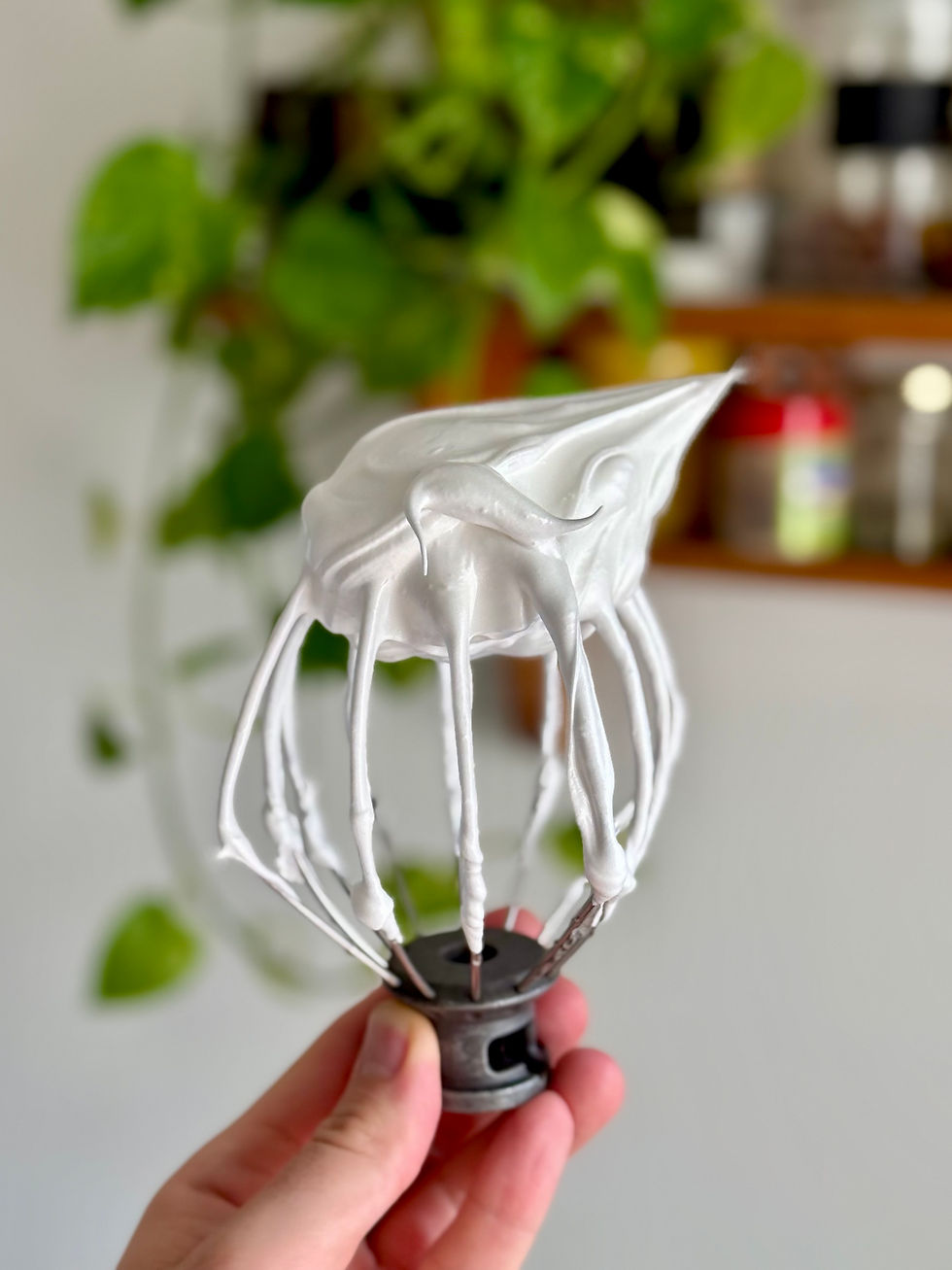 Bec d'oiseau sur le fouet avec meringue italienne