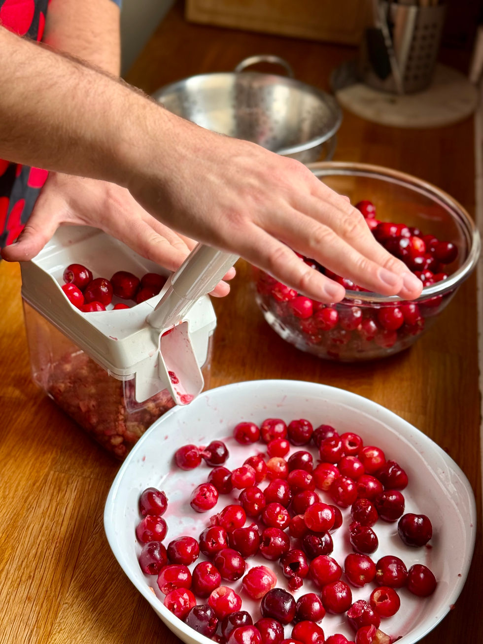 Dénoyautage des cerises du jardin pour faire un clafoutis