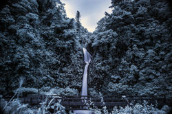 _DSC0358