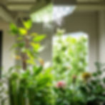 Explore how living systems like plants and microbes are transforming indoor air purification, offering advantages over HEPA in VOC removal, sustainability, and design.