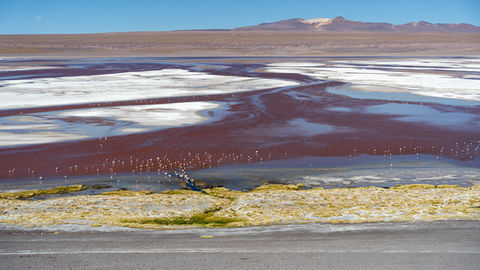 Hotels-Models14015 2_edit_new 2.jpg