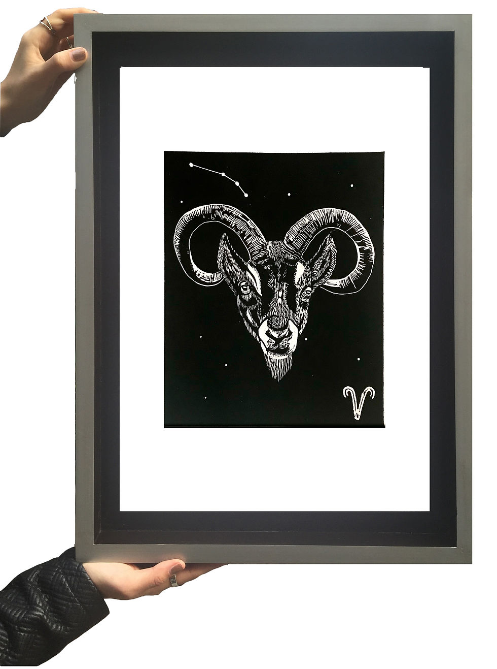 Miniatura: Aries