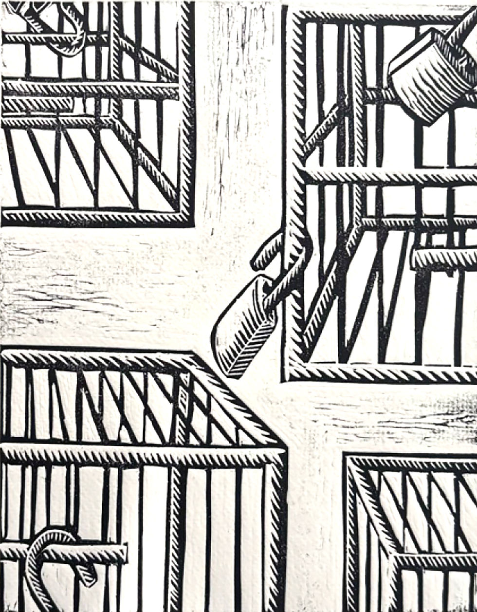 Miniatura: Libres