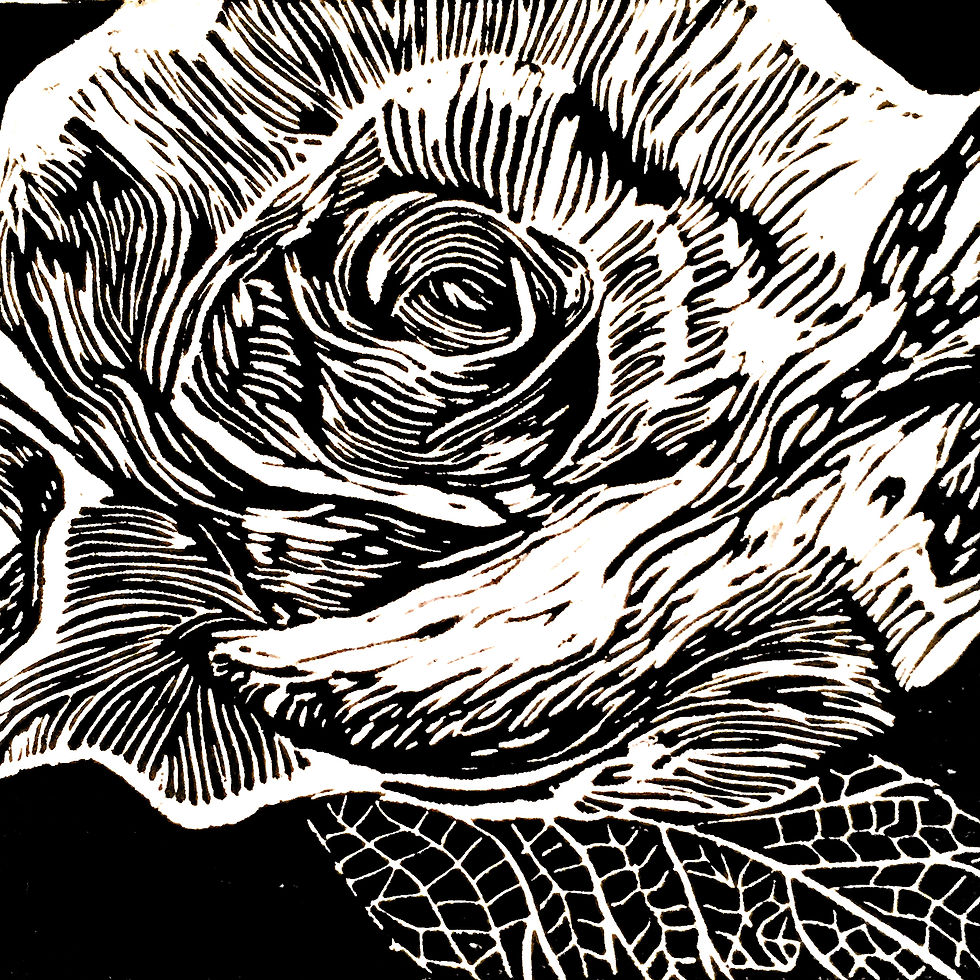 Miniatura: La rosa