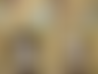 The unexpected emotional toll of a project on trade