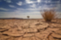 Drought Cracked Earth (2).jpg
