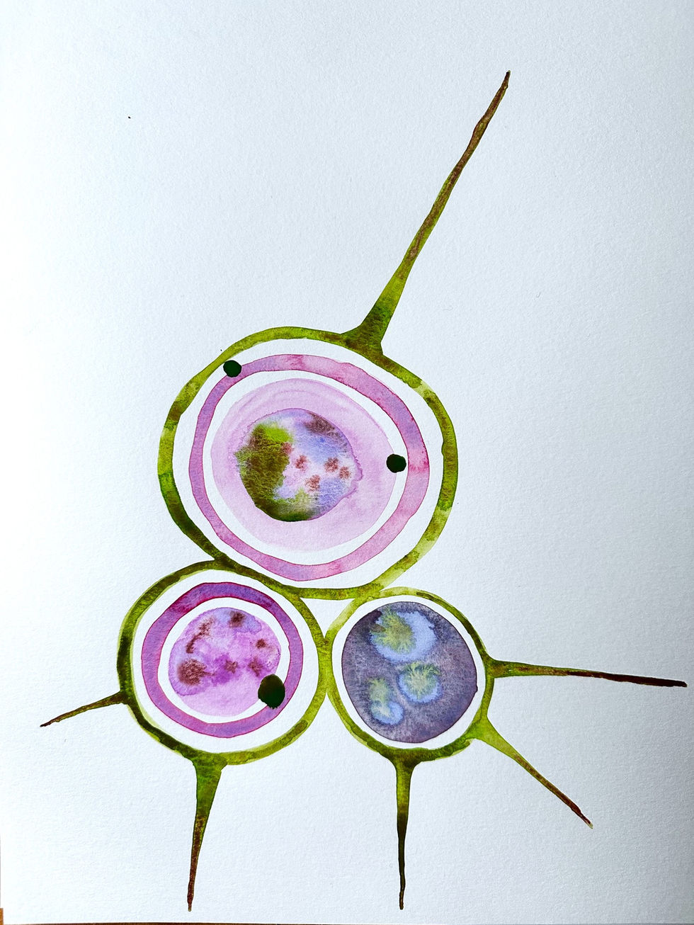 Watercolor Study 2