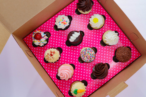 THE MINI CUPCAKE for MEAL ミニカップケーキの本と雑貨 Mini Cupcakes - Delicious Bite-Sized Treats from Jenna Rae Cakes