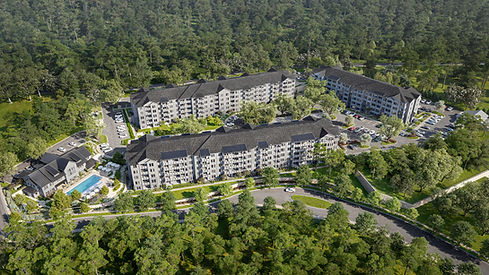 Limestone Springs_LIV Development_Aerial_Final.jpg