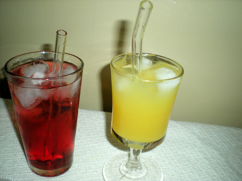 10mm Borosilicate Bent Glass Straws with Brush