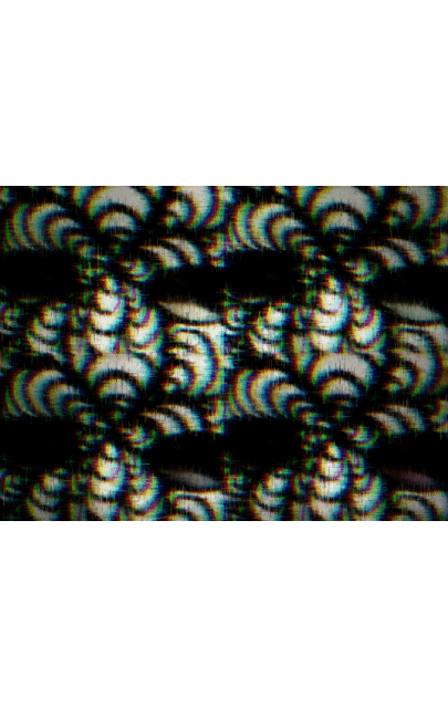 201357218_186667793374550_33408849105852