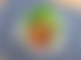 ジューシー酢鶏