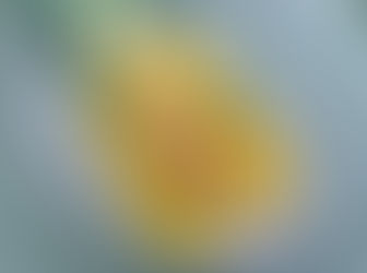 パイナップル炒飯