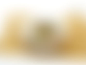 U500kcal★回鍋蒟蒻