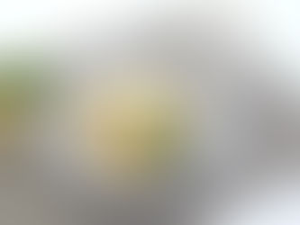 鶏のふわとろレモン煮