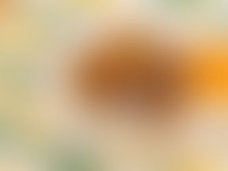 スペアリブのマーマレード煮