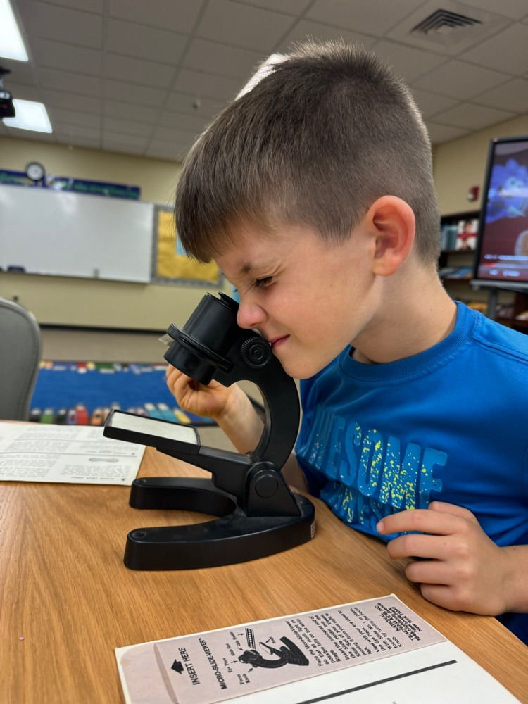 491404944_1346512460503221_7397213934566077763_n