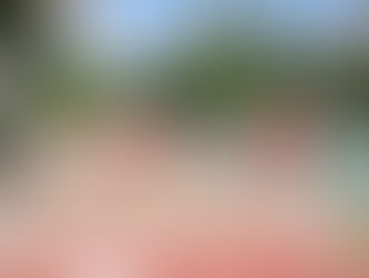 Ferienkurs Leichtathletik erfolgreich durchgeführt