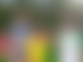 Hürdenmeeting in Langnau