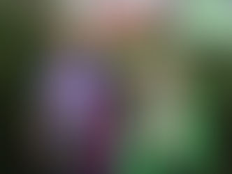 Kantonalmeisterschaften 2. Tag