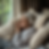 dementia sleep