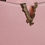 Thumbnail: Pink Small Top Handle Grainy Calf Leather Crossbody Bag